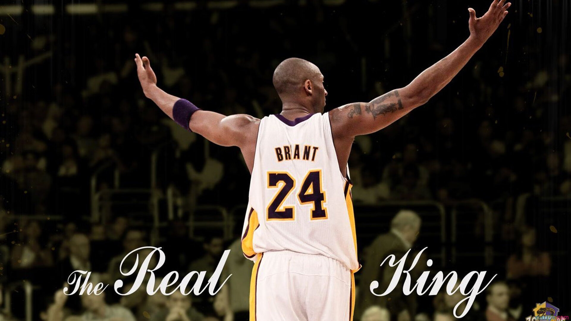 开云电竞入口-传奇教练的战术思想“秘籍”大公开，nba_传奇教练